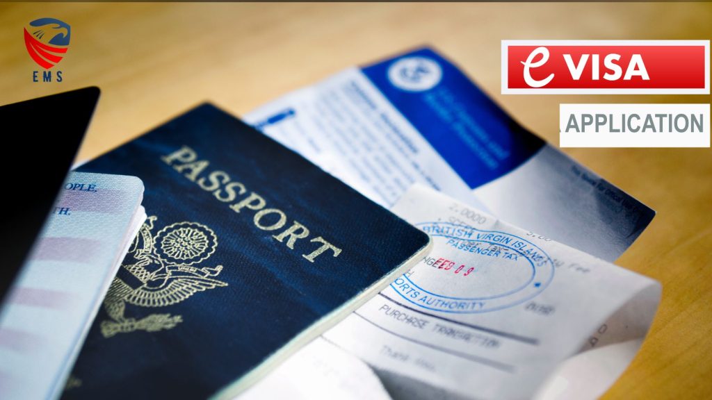 E-visa Application Guide