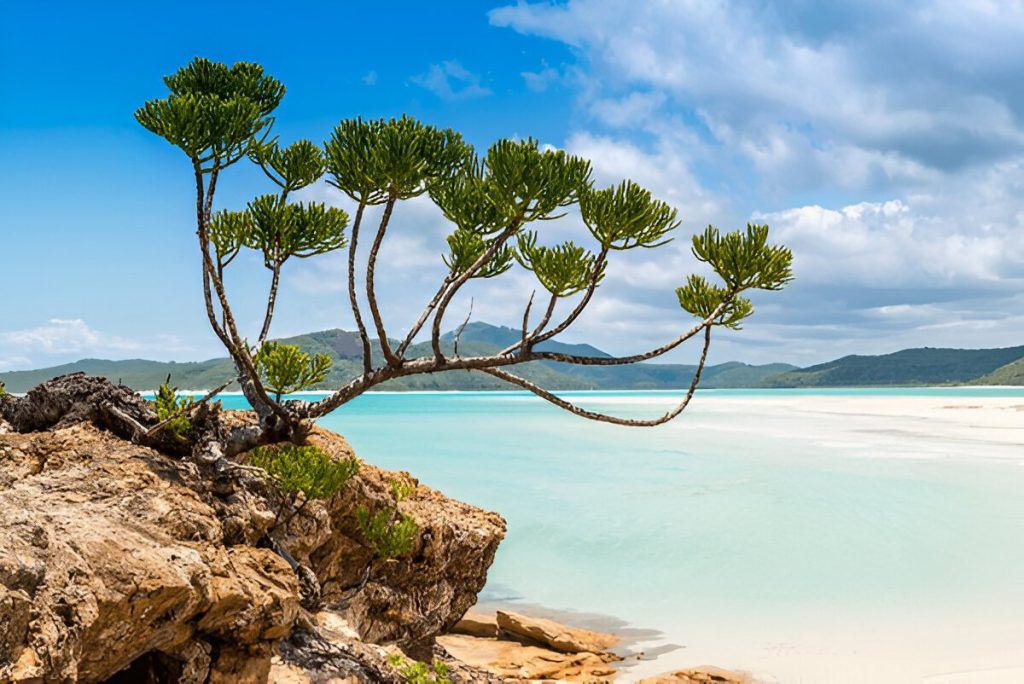 Whitsunday Islands – Beach Paradise for Two