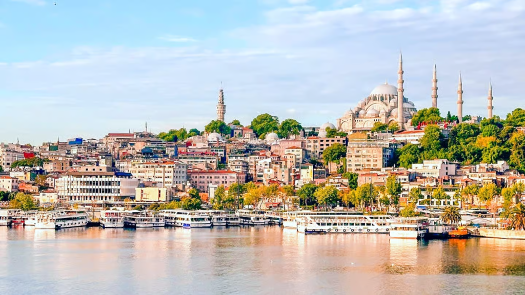 business visa appliction dubai to Turkey 2026
